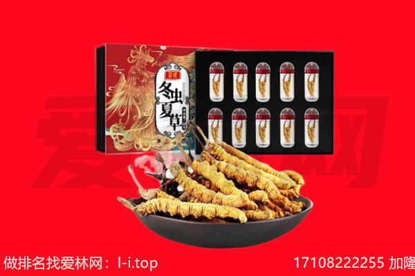 海北州回收虫草.jpg